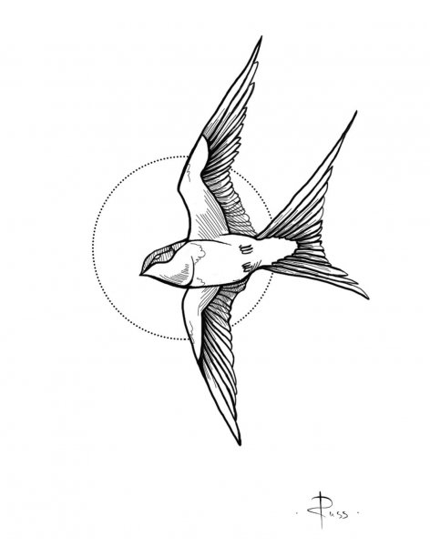 Птица эскиз