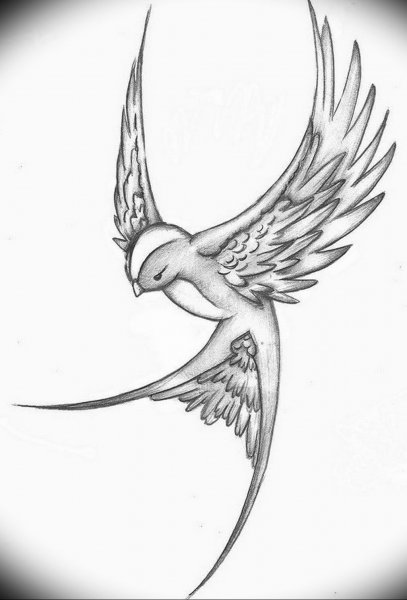 Татуировка Ласточка эскиз