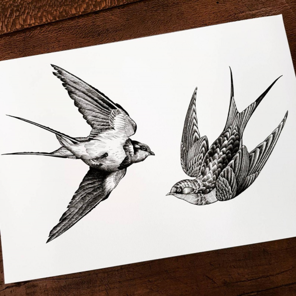 Татуировка Ласточка эскиз