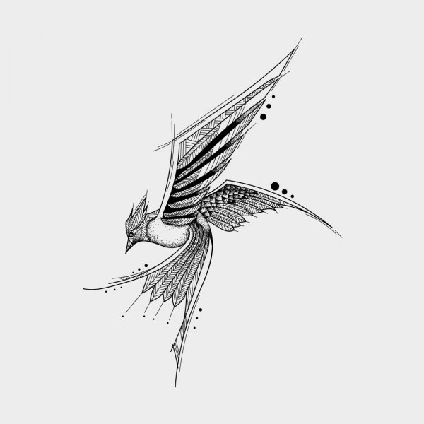 Тату птица Графика