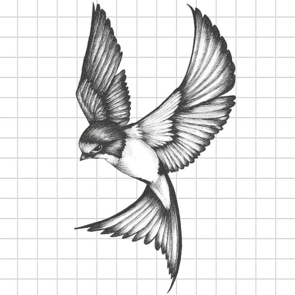 Ласточка эскиз