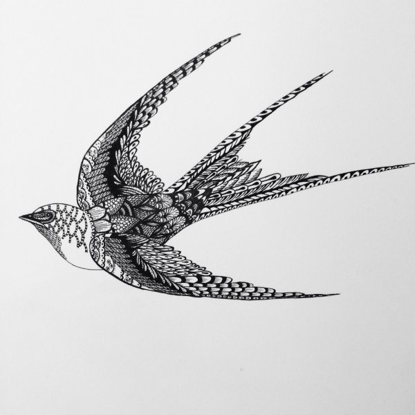 Птицы в графике