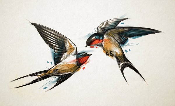 Ласточка акварель