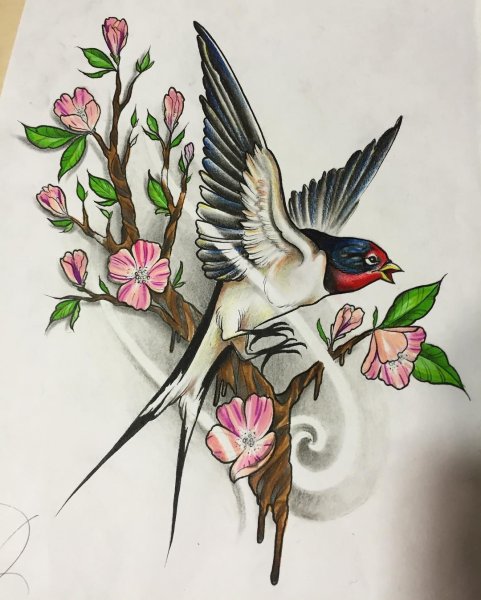 Тату Ласточка цветная