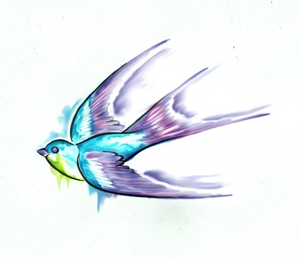 Ласточка цветными карандашами