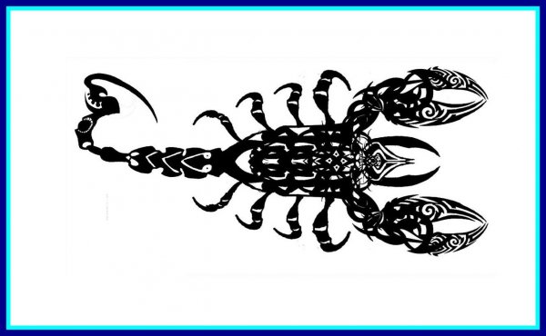 Скорпион рисунок