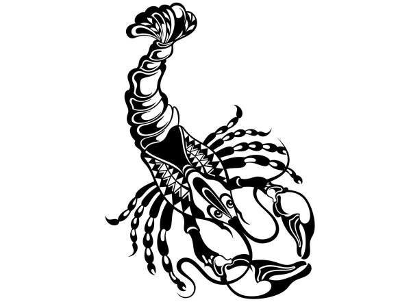 Как выглядит эскиз