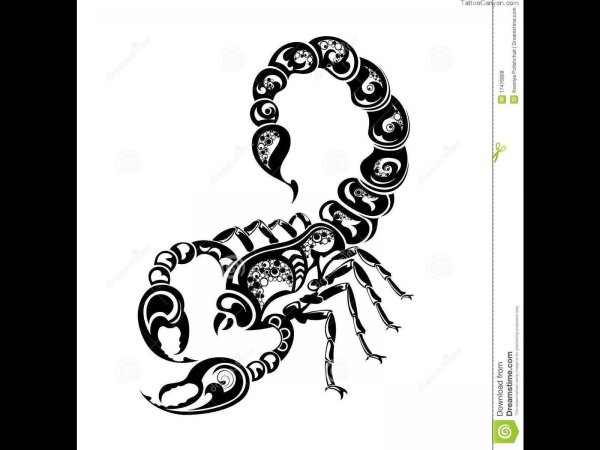 Скорпион Зодиак эскиз