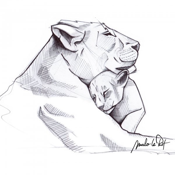 Львица Графика