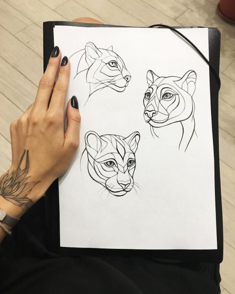 Геометрическая львица эскиз