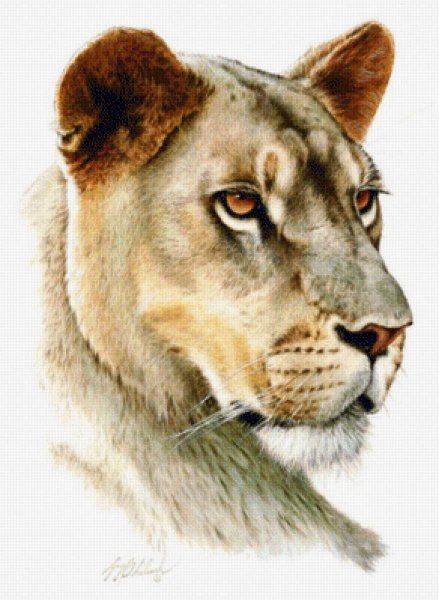 Портреты животных