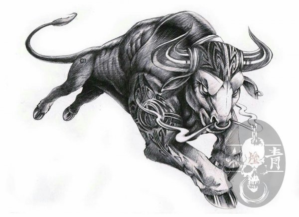 Бык Телец Taurus знак зодиака