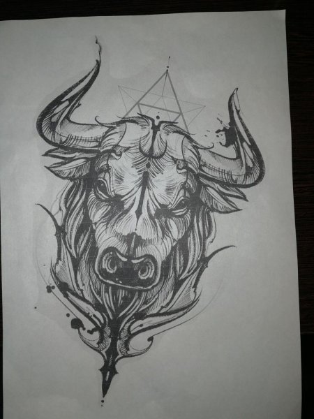 Телец эскиз