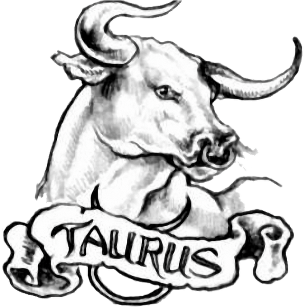 Телец Taurus бык тату