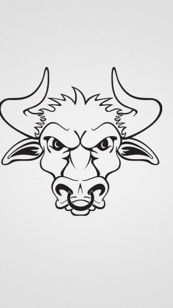 Морда быка тату