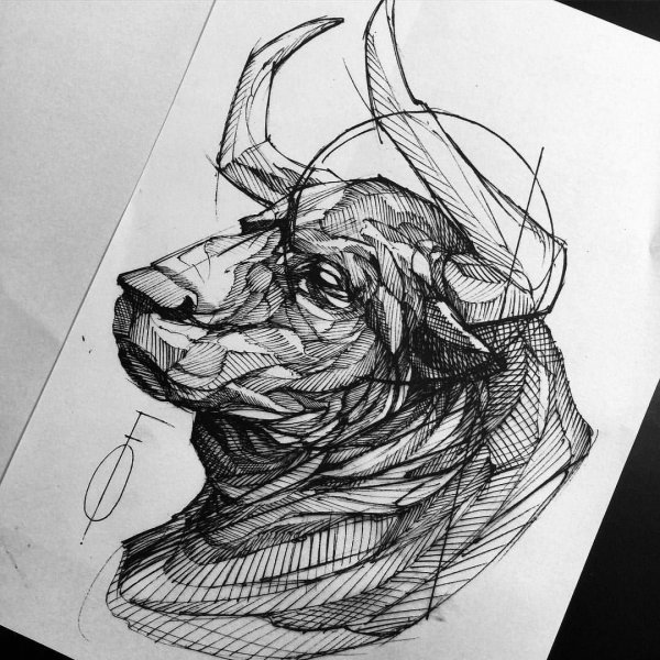 Тату быка эскизы