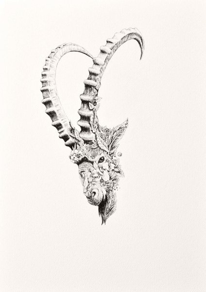 Эскиз Татуировки Козерог