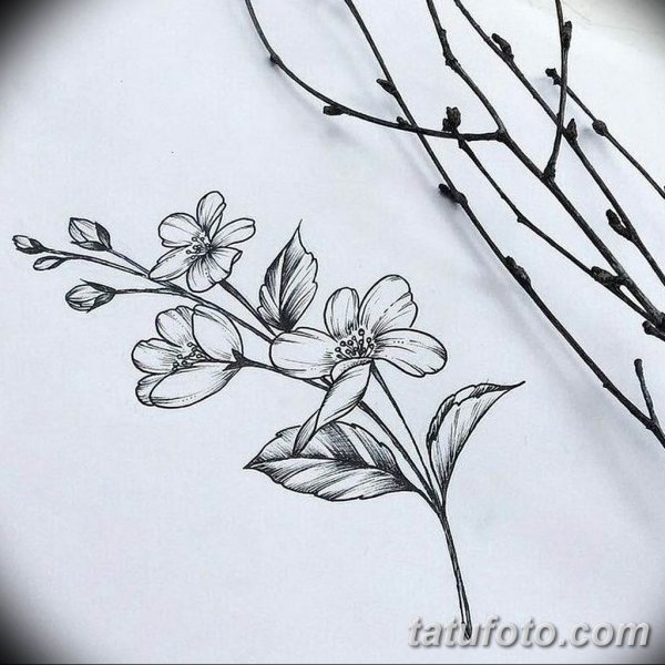 Зарисовки веточек