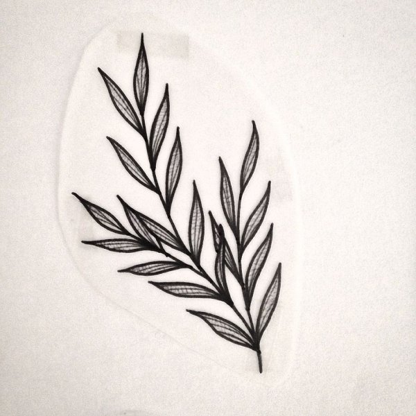 Ветка эскиз