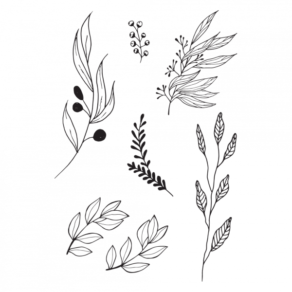 Ветвь эскиз