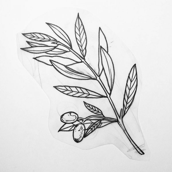 Листья эскиз