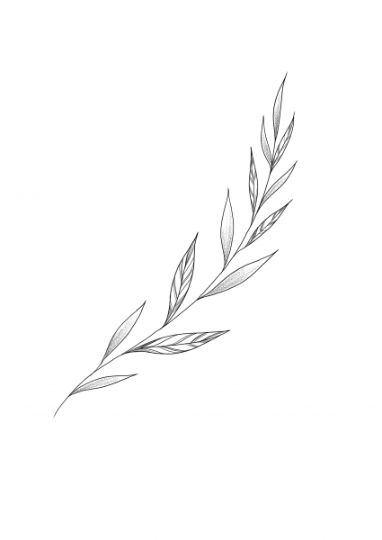 Ветка эскиз