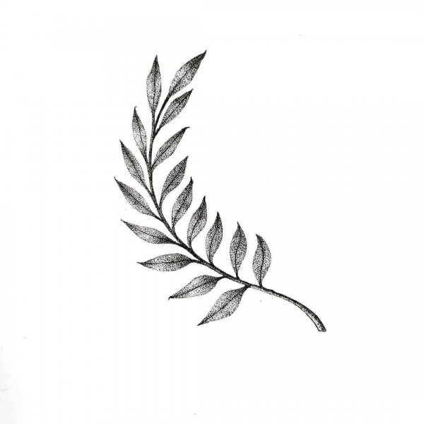 Ветка эскиз