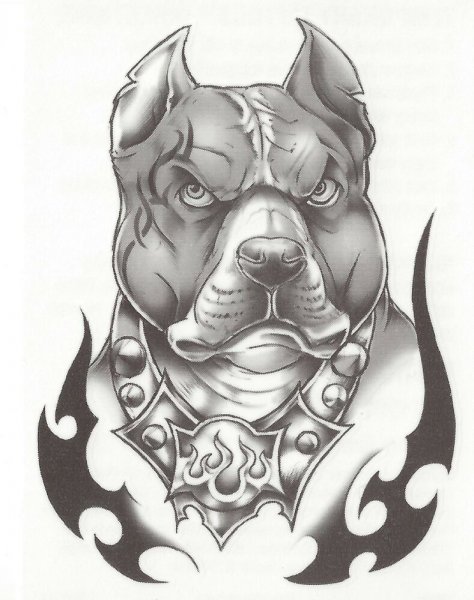 Доберман рисунок карандашом