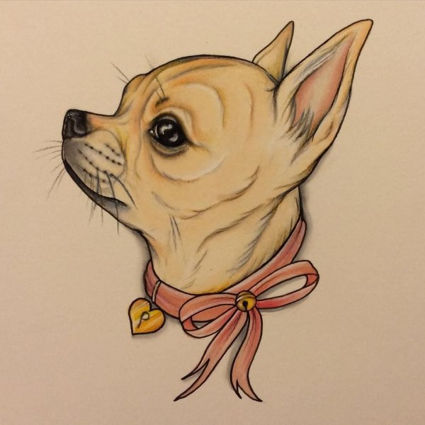 Тату Чикано питбуль