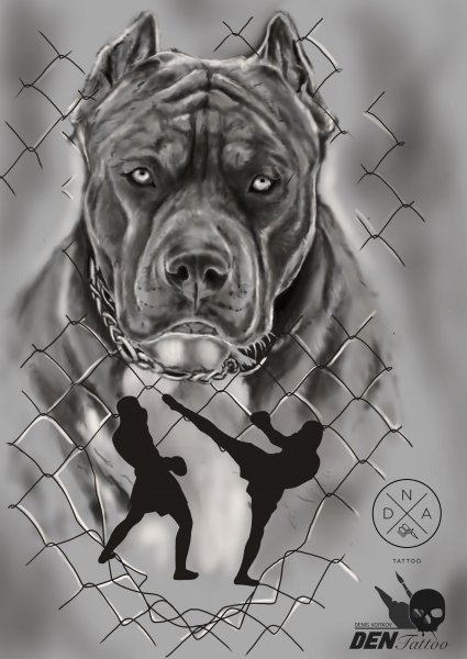 Доберман карандашом