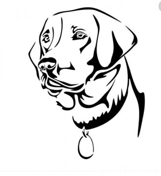 Тату собаки чихуахуа