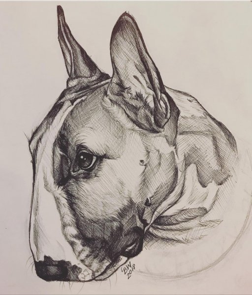 Тату собака эскизы