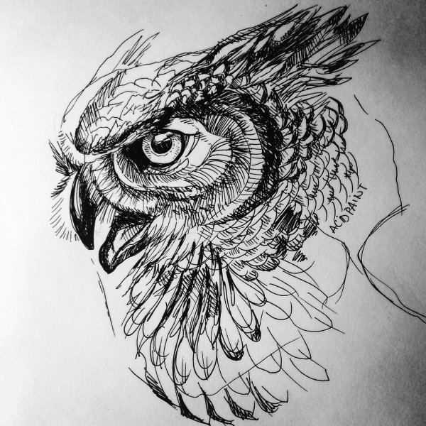 Зентангл Павлин