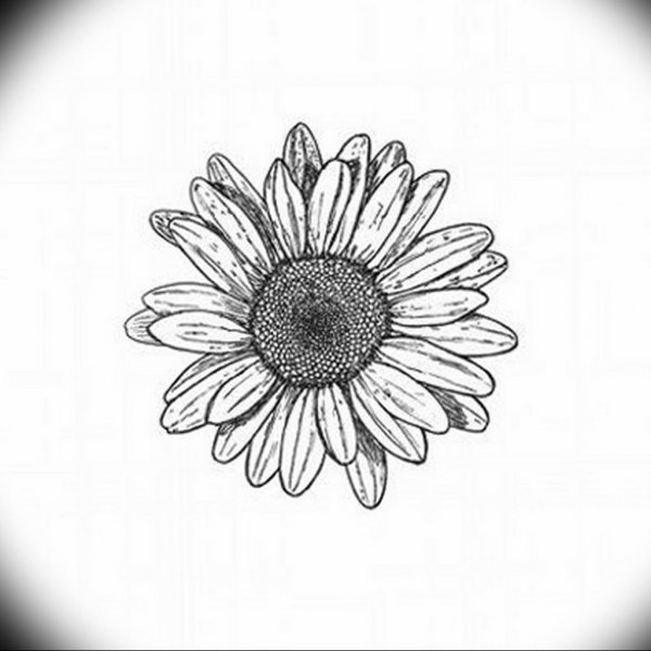 Маргаритка цветок эскиз тату