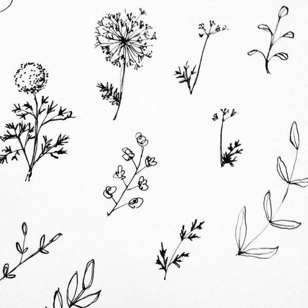 Маленькие цветы эскиз