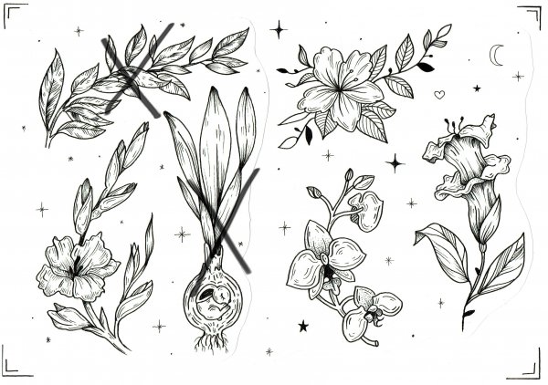 Эскизы растений