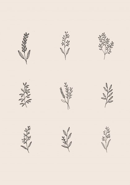 Тату растения Минимализм