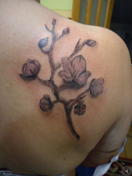 Тату напыление