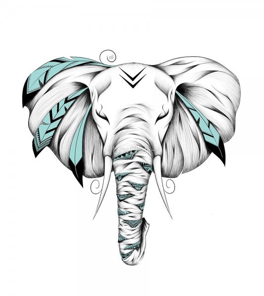 Тату слон эскиз для девушек