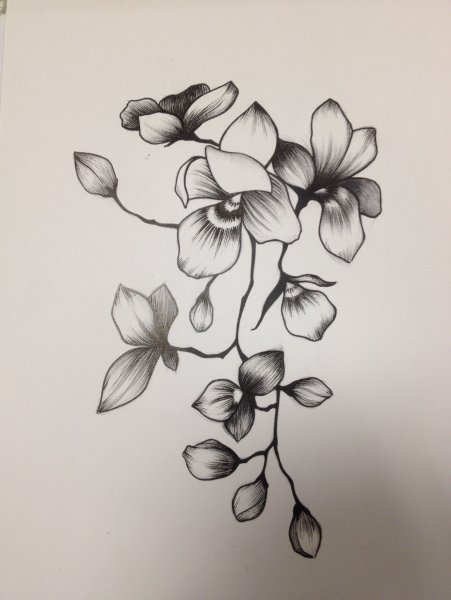 Тату Орхидея эскизы