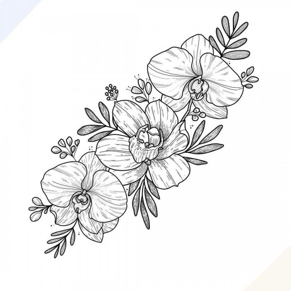 Тату эскизы цветы Орхидея