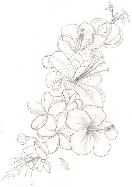 Тату эскизы цветы Орхидея