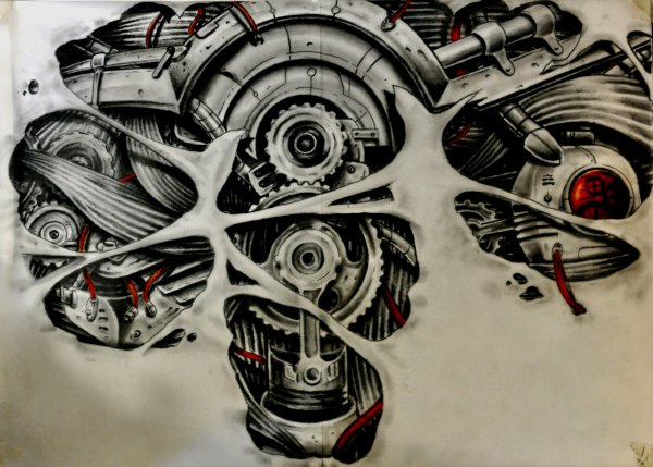 Чикано биомеханика