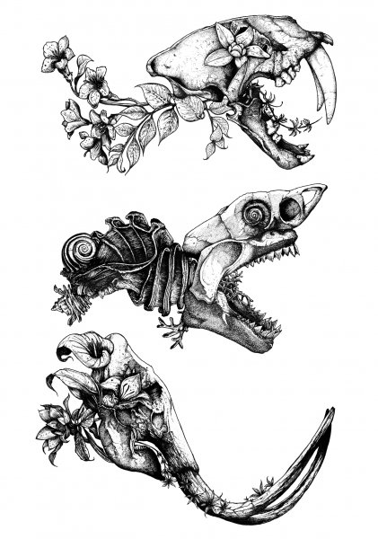 Череп динозавра тату эскиз