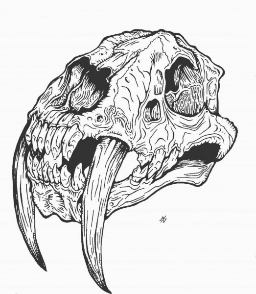 Черепа животных тату