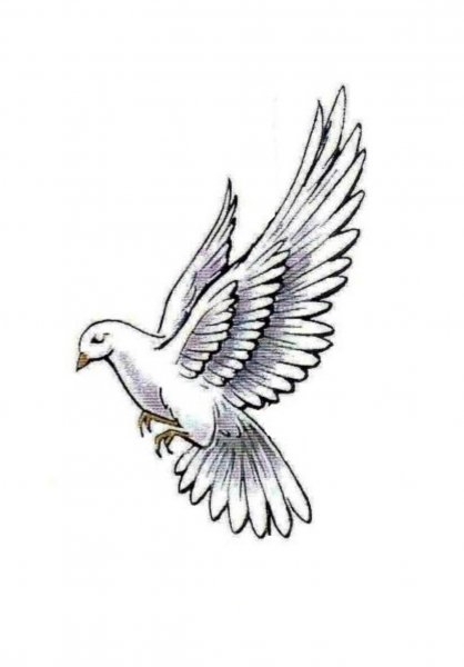 Голубка эскиз