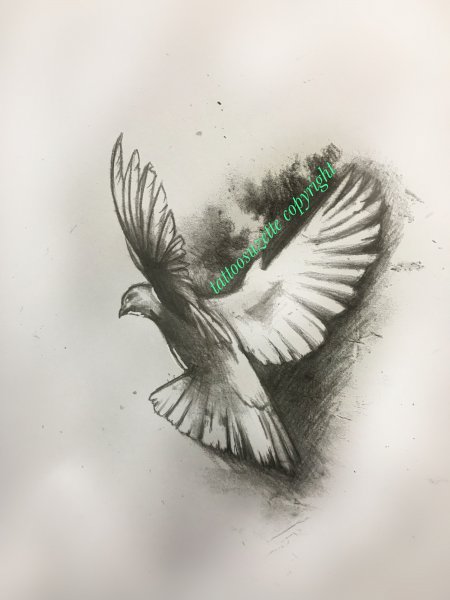 Голубь эскиз