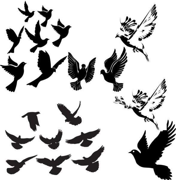 Птица эскиз