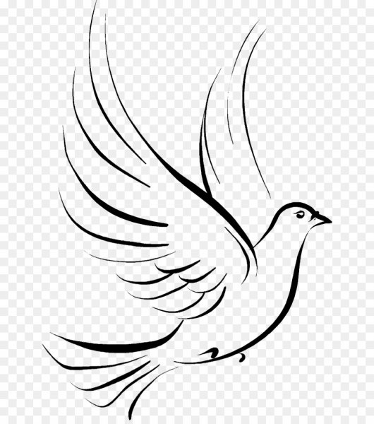 Птичка схематично