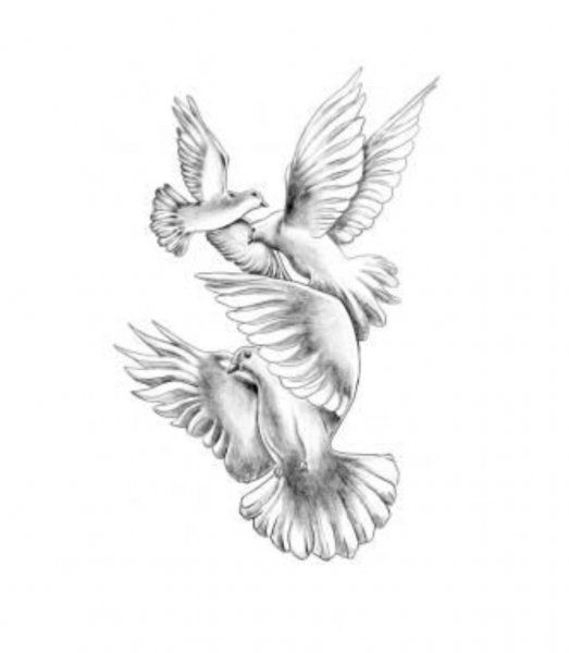 Голубь тату эскиз